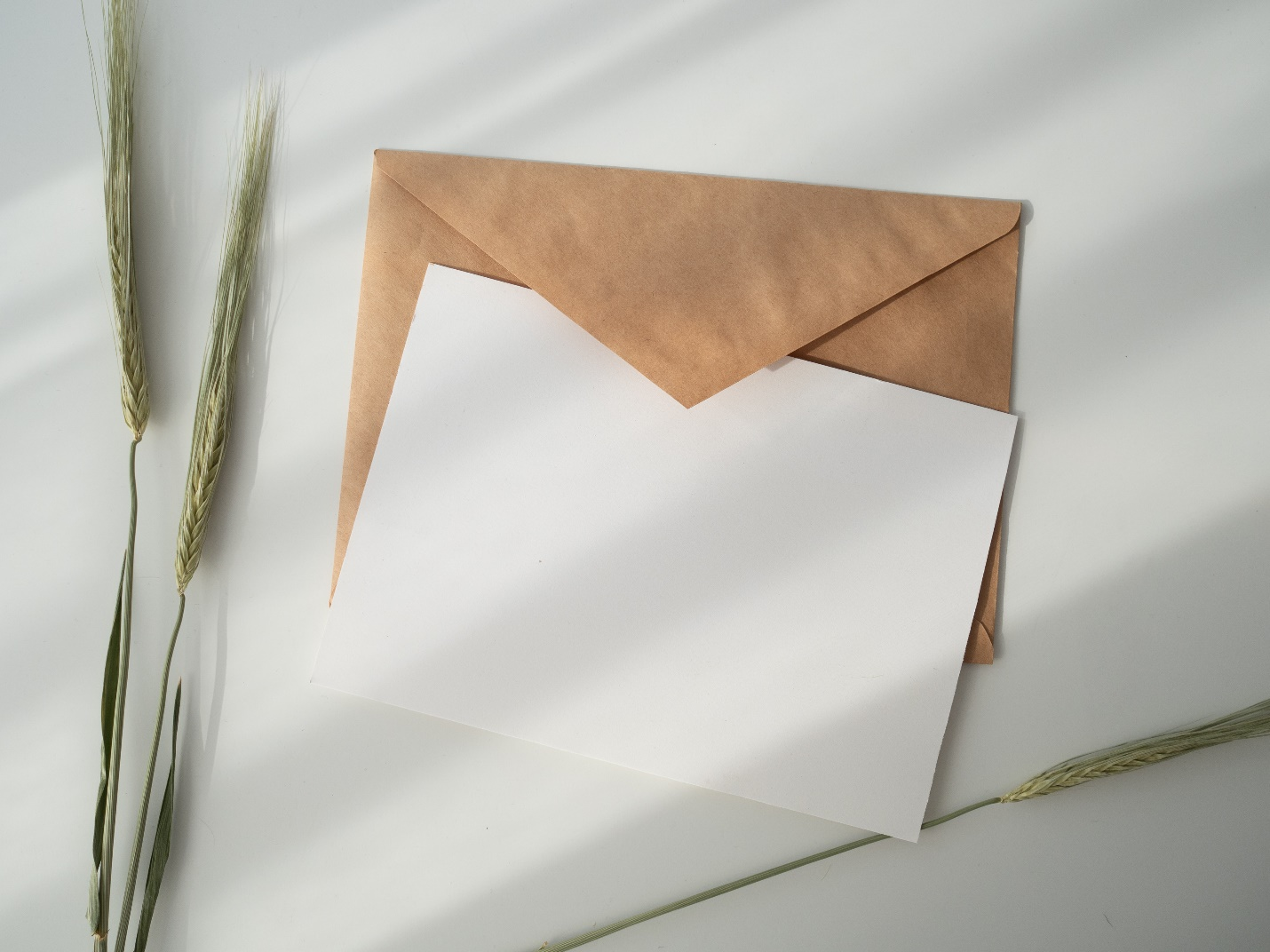 Brown and white envelopes.