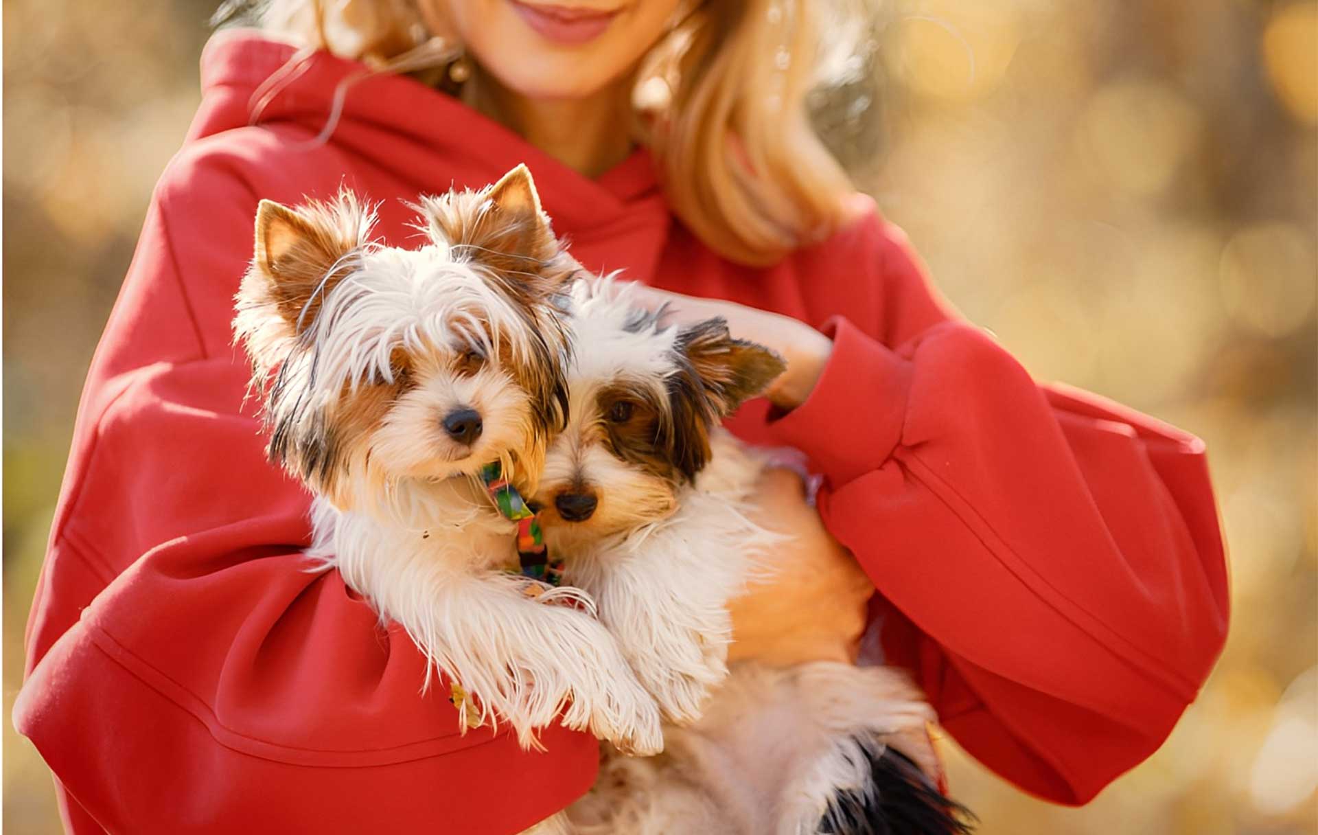 Nanda & Associate Lawyers Canada