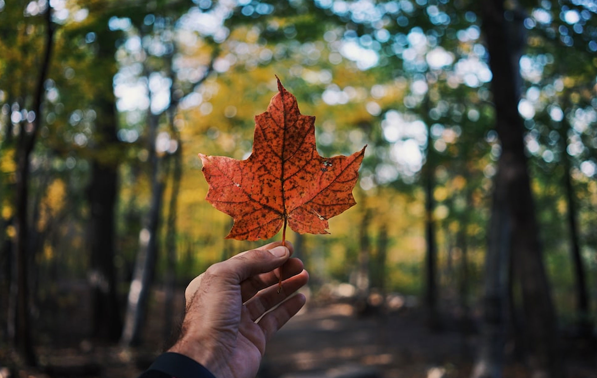 Nanda & Associate Lawyers Canada